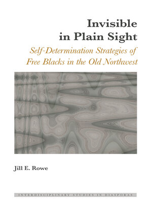 cover image of Invisible in Plain Sight
